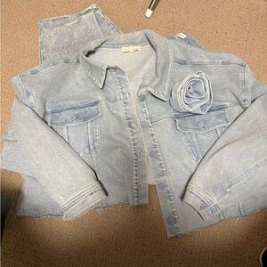 Eloquii Blue Denim Set